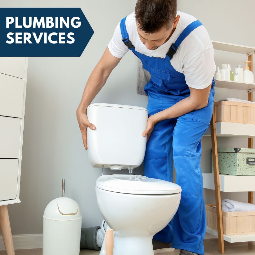 Plumbing Company in Placida, FL